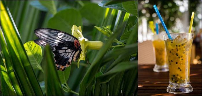 vibrant colors vibrant colors