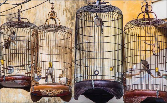 street patterns street patterns