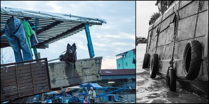 market pets Cai Rang floating market