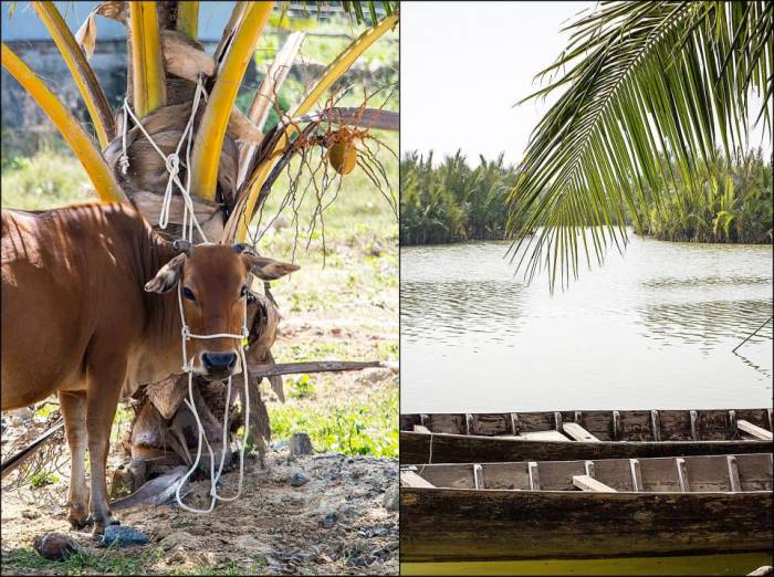 exploring the countryside on a bike exploring the countryside on a bike