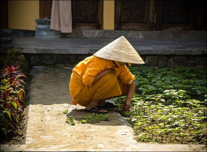 shapes and colors shapes and colors