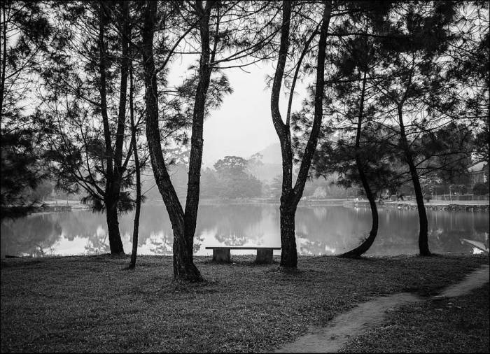 peace and quiet peace and quiet