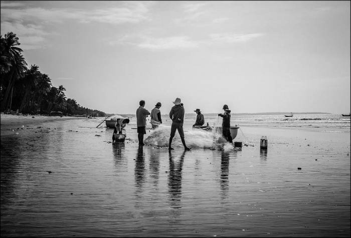 tangled nets tangled nets
