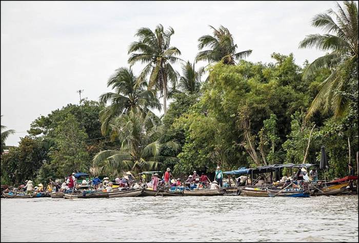 business under the palm trees Cai Rang floating market