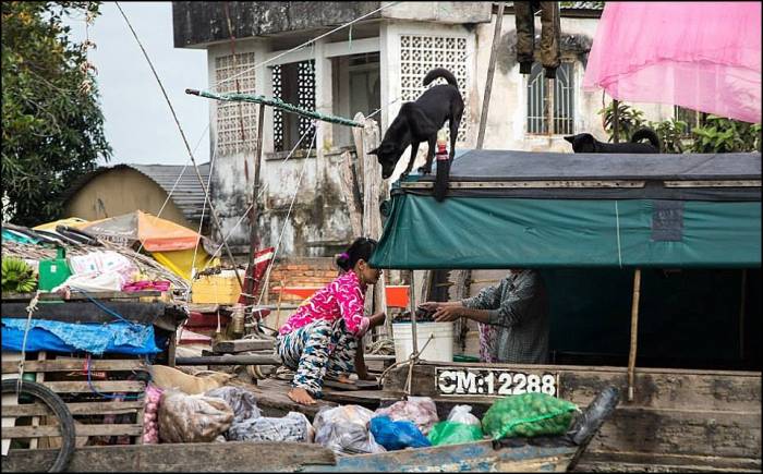 market acrobatics Cai Rang floating market