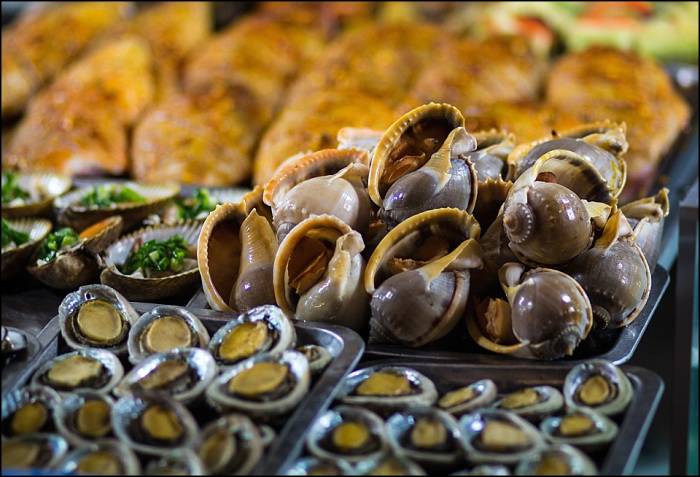 snails and shellfish snails and shellfish