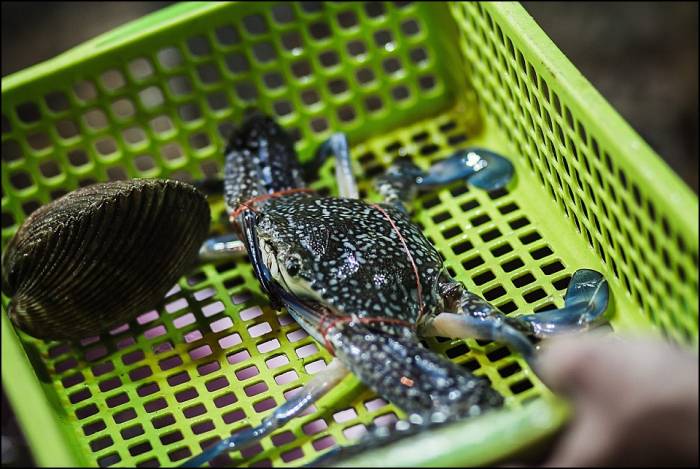 dinner is on it's way Phú Quốc island