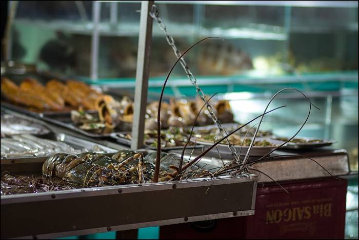 night market Phú Quốc island