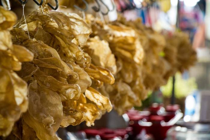 dried fish bladder - a local delicacy dried fish bladder - a local delicacy