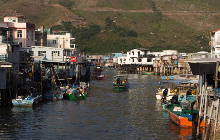 leave the urban jungles behind leave the urban jungles behind