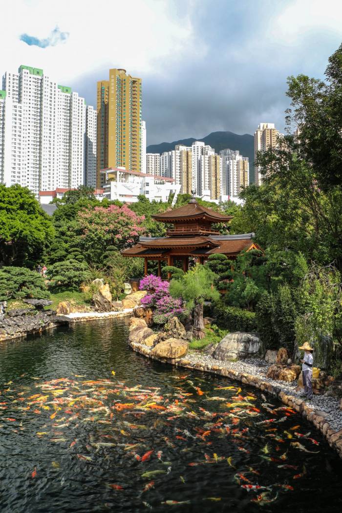 a classical Chinese garden built in the style of the Tang dynasty a classical Chinese garden built in the style of the Tang dynasty
