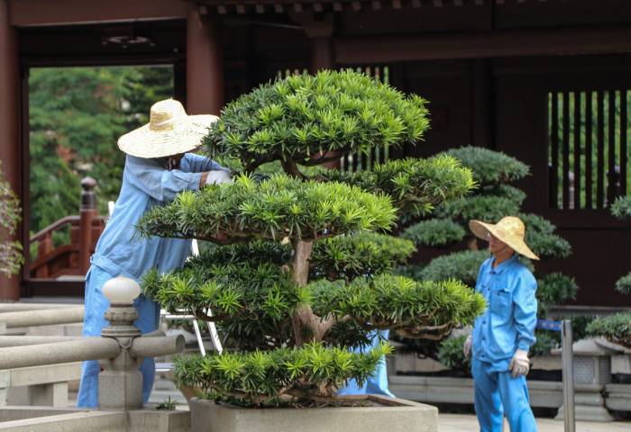 men at work men at work