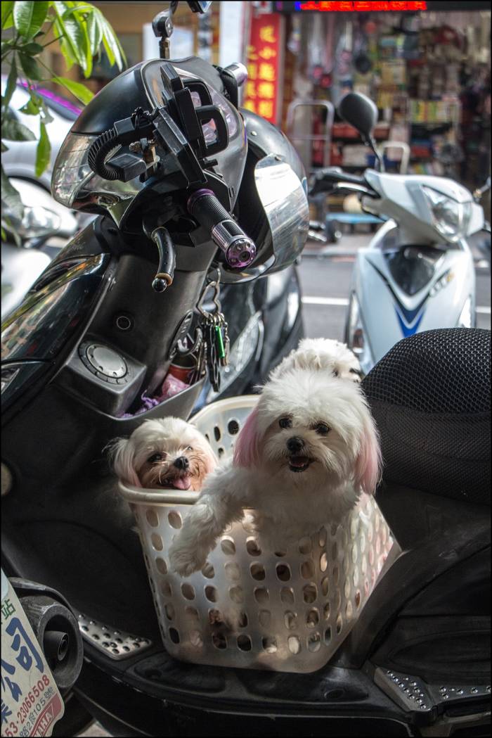 biker's accessories biker's accessories