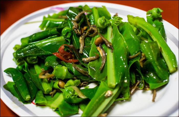 stir-fried shansu - a Taiwanese mountain vegetable - with dried anchovies stir-fried shansu - a Taiwanese mountain vegetable - with dried anchovies