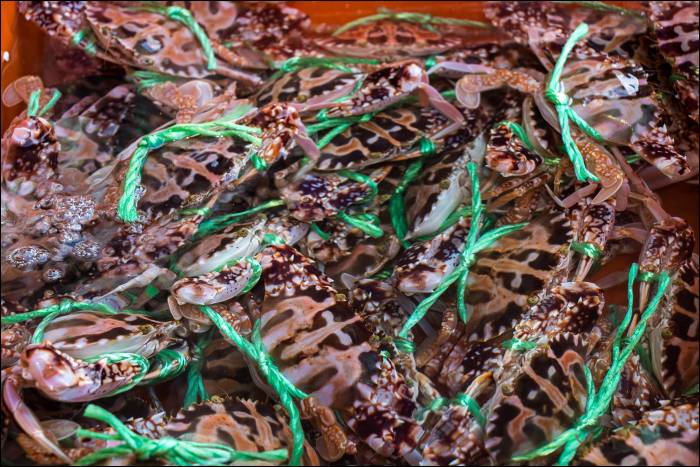 crabs in the fish market crabs in the fish market