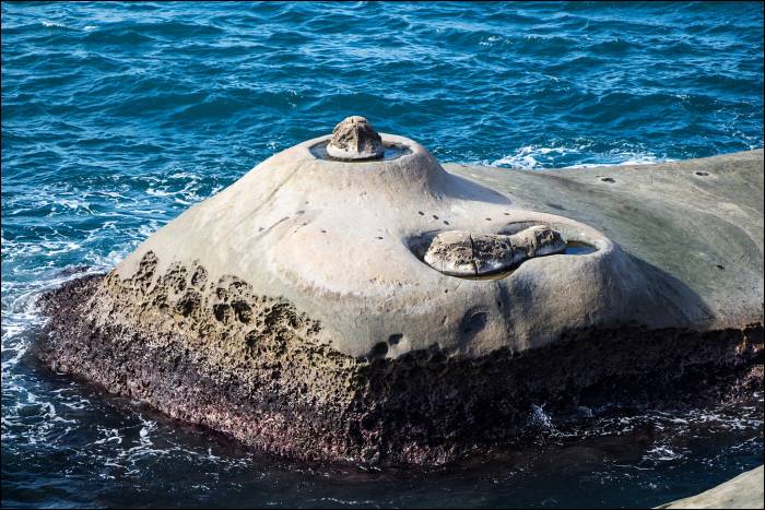 this one's called the Peanut rock this one's called the Peanut rock