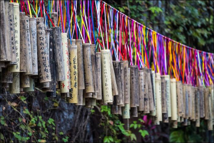 bamboo wish sticks bamboo wish sticks